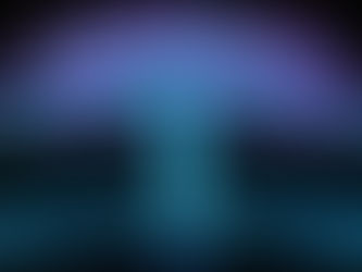 Quantum Suicide and Subjective Immortality in Digital Minds