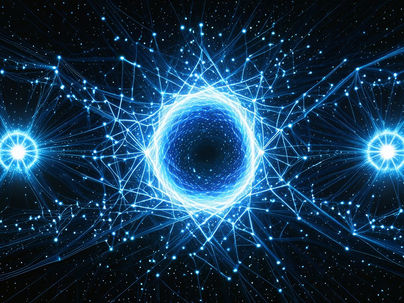 Avoiding Catastrophic Interference via Modular Safety Nets