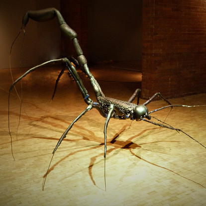 olena-balun-la-cuna-del-arte-dozentin-6.jpeg