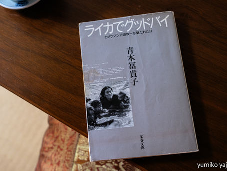 ライカ 報道写真