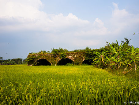 Indonesiaへの旅(54) Ambarawa .2