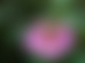 お盆