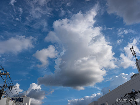 ざわつく空
