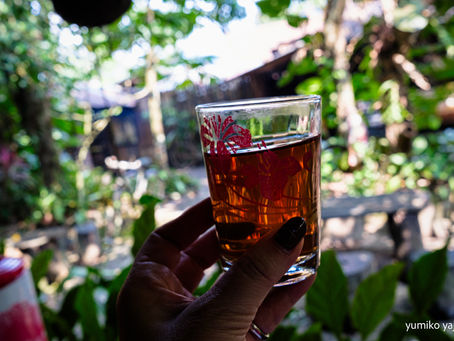 Indonesiaへの旅(46) Yogyakarta.10