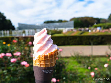 神代植物公園