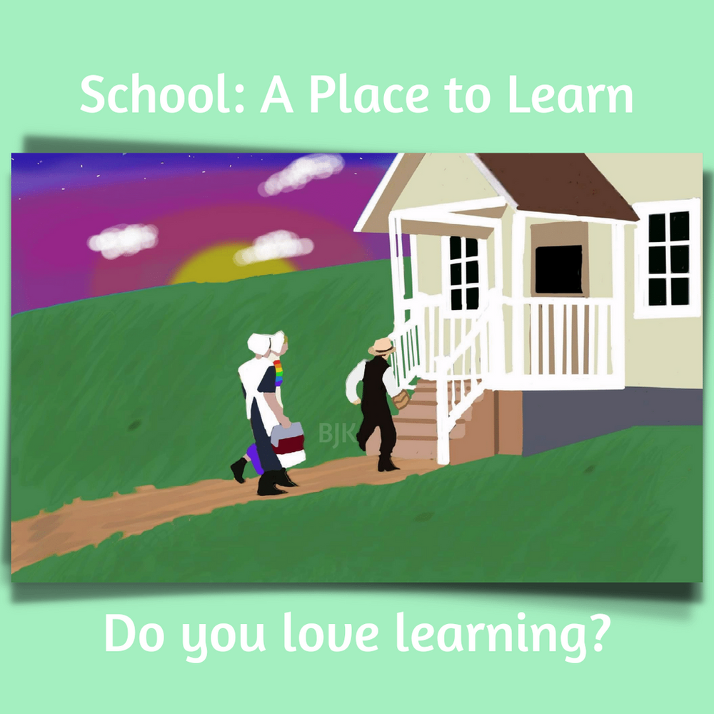 What is Amish Education?