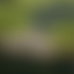 Beschermers Amstelland krijgen uitleg over waterbeheer: 'Geen vanzelfsprekende zaak'.