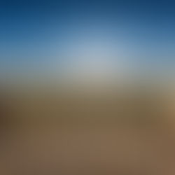 Wij zoeken een nieuwe (betaalde) kracht voor onze leden- en donateurs-administratie