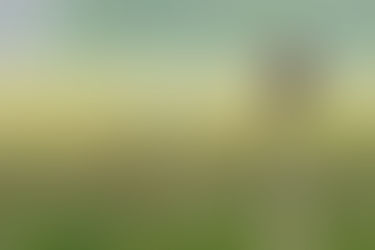 Succesvol weidevogelbeheer in Bovenkerkerpolder