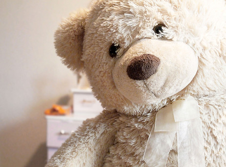 Teddy Bear