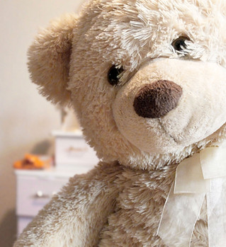 Teddy Bear