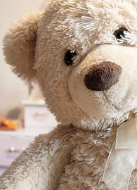 Teddy Bear