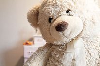 Annual Teddy Bear Picnic