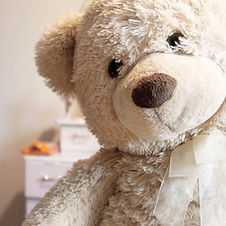 urso Teddy