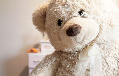 Teddy Bear