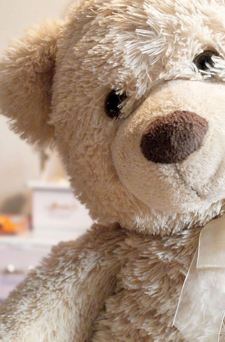Teddy Bear