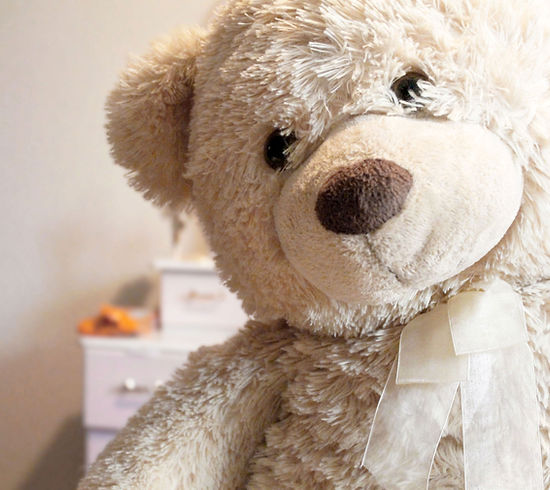 Teddy bear