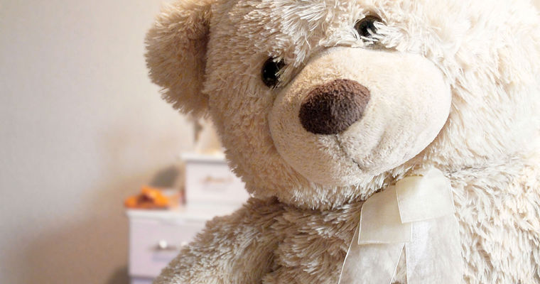 ours en peluche