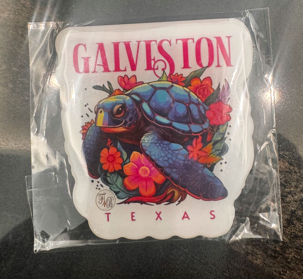 Thumbnail: Souvenir Galveston refrigerator magnet 