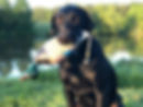 Born to Retrieve