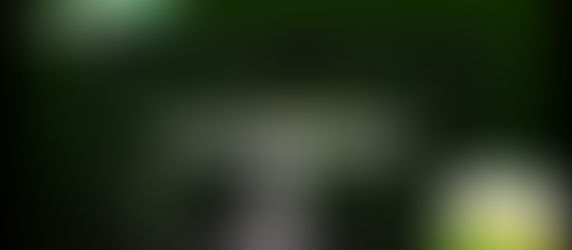 Innovative Travel & Hospitality Software for Seamless Operations