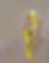 Fond_siteweb.png