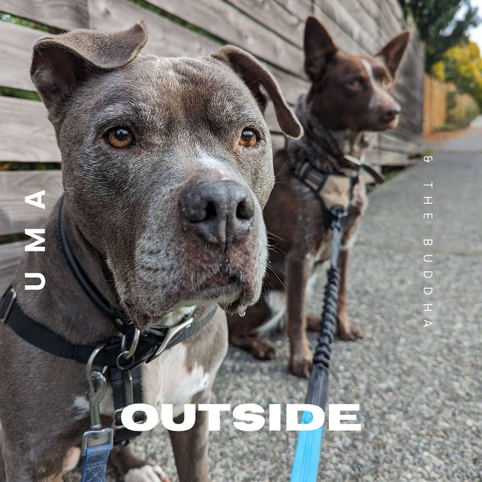 Custom Tile - Album Cover Style