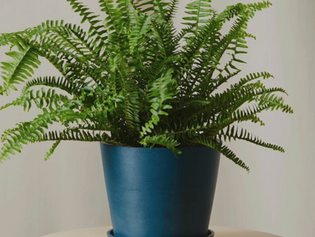 24 Smart Upgrades to Support a Healthier Home