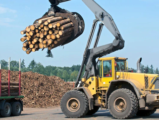 Lumber Prices will Fall Back to Pre-Pandemic Levels within a Year Amid Considerable Volatility