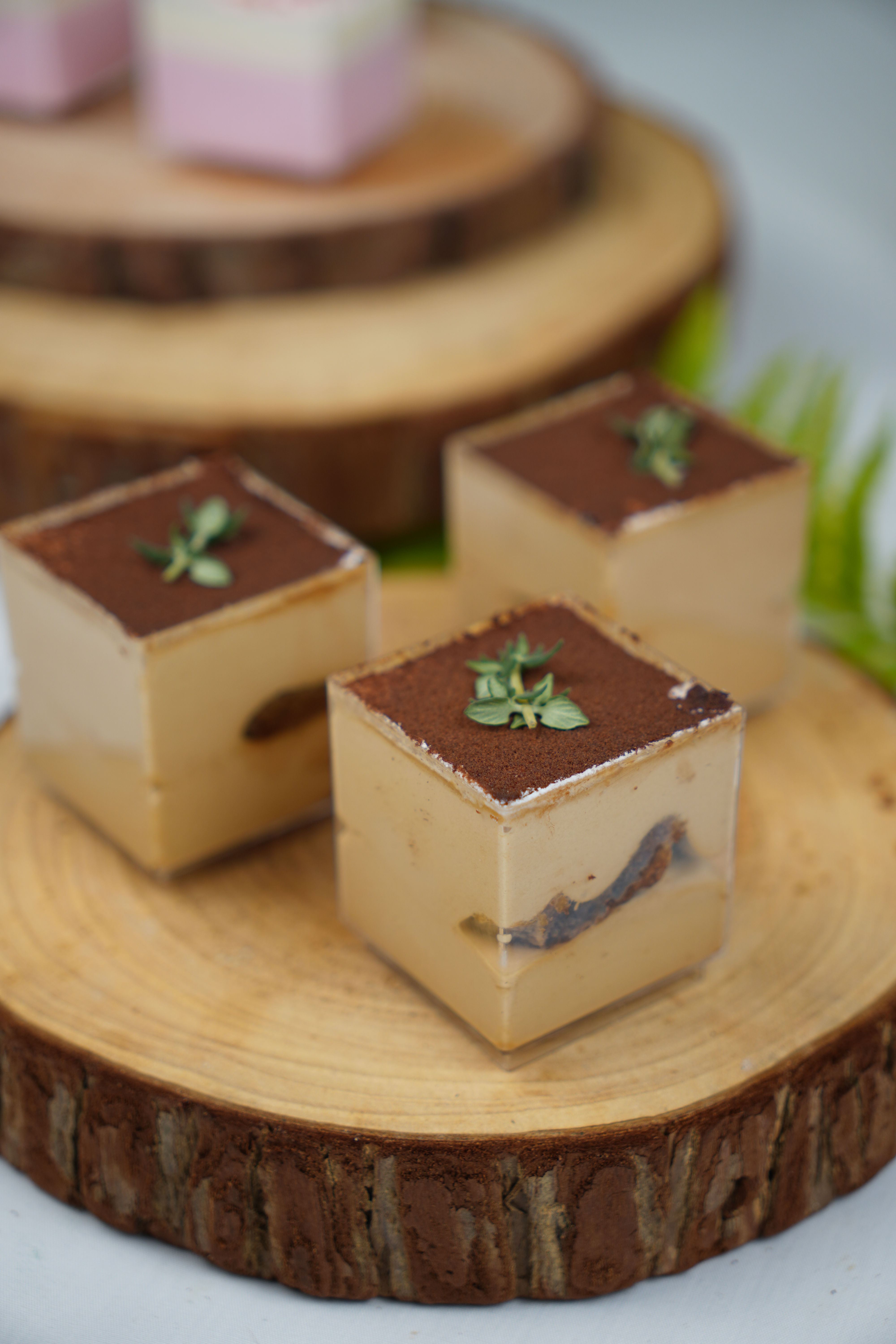 Kopi Gao Tiramisu Shooter (Bundle of 12)