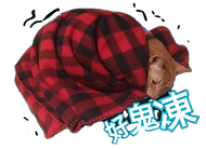 ChanP_06_edited.png