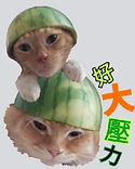 ChanP_10a.jpg