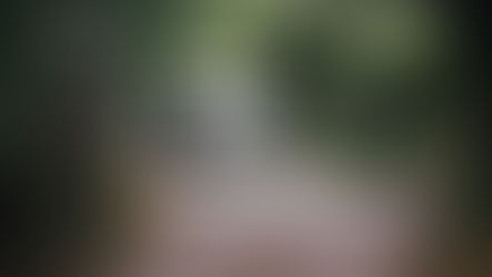 Craft Your Perfect CV: Expert Tips and Tricks