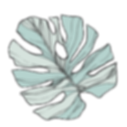 Copy of Untitled (1).png