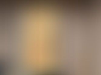 ダイワ奮闘記~玄関リフォーム~