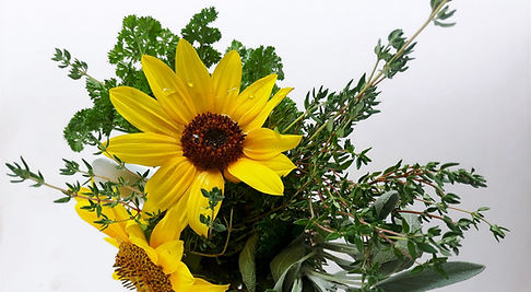 Sunflower, sunflower, brighten up my day with your punch of yellow. Sage, parsley and rose