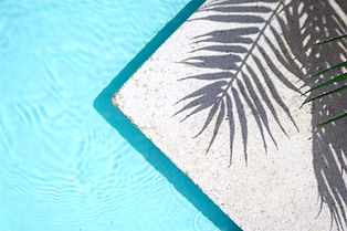 Swimming pool top view background_edited.jpg