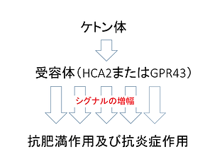 HP用受容体 トリミング.png