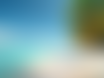 Luxury tropical beach with crystal-clear water and palm trees, representing exclusive January 2026 luxury escapes by Traveldom