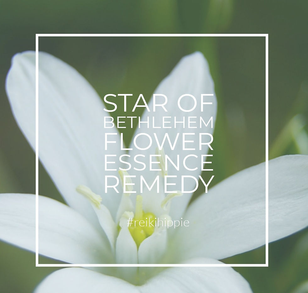 Star of Bethlehem