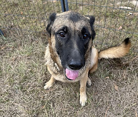 Diamond-Transport Available to the Northeastern States  