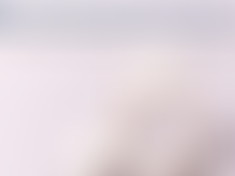 dental disposable articulators