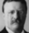 Theodore Roosevelt