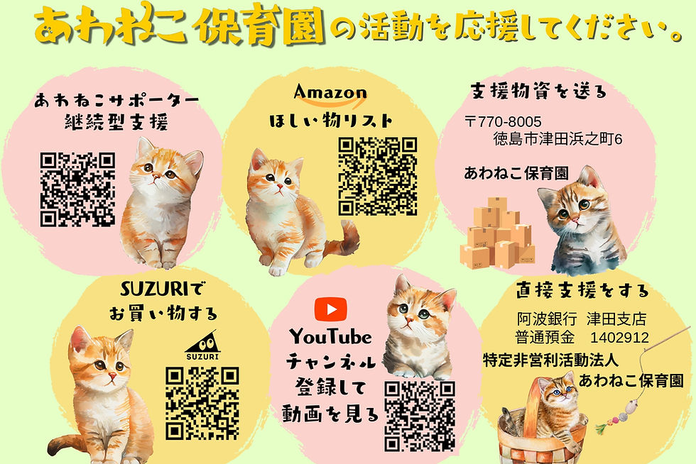 2023 最新 募金箱 A4版.pdf_page-0001.jpg