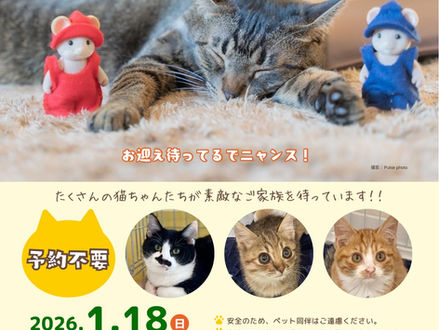 １月譲渡会のお知らせ