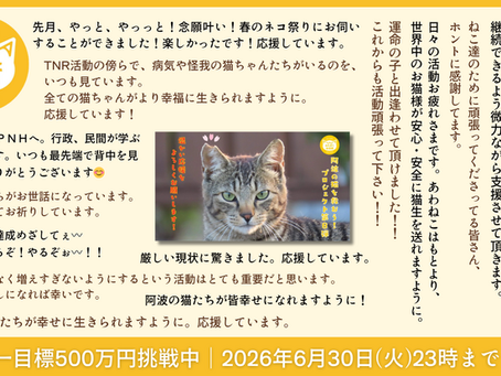 クラウドファンディング35%達成