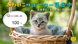 71CC75A7-7FC3-4B40-9443-80AC95C34209_edi