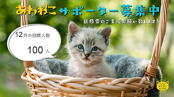 71CC75A7-7FC3-4B40-9443-80AC95C34209_edi