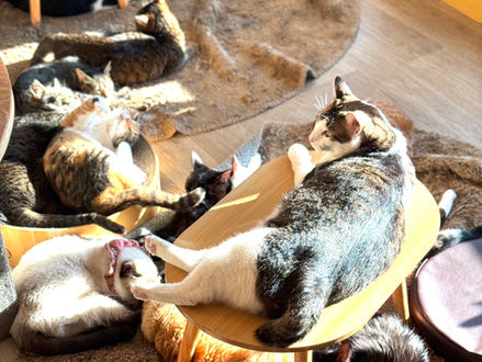 年末のご挨拶と御礼