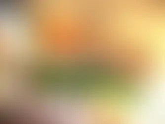 Presidência da Índia no BRICS será inclusiva, afirma chanceler